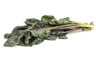 Fresh Bunch of Spinach Leaves Isolated on White Background