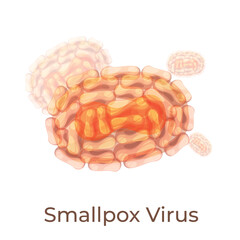 Illustration of human smallpox virus showing distinct shape and structure under microscopic view