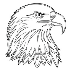  Bald Eagle Head, Fierce Bird, Predator Line Art Illustration