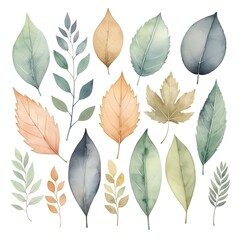 Fototapeta premium Watercolor Autumn Leaves Collection