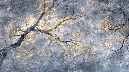 Sunlit winter tree branches against a bright sky.