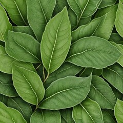 Fototapeta premium Lush Green Leaves Texture