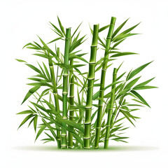 Fototapeta premium Realistic Bamboo Bush Vector