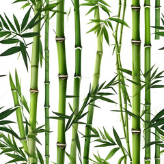 Realistic Bamboo Bush Vector