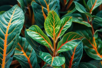 Obraz premium Lively Organic Macro Greenery with Vivid Leaf Veins and Rich Natural Texture