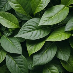 Lush Green Leaves Background
