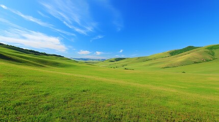 Obraz premium Vast Green Grassland Landscape Under Blue Sky