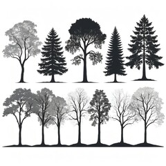 Obraz premium Silhouette Collection of Diverse Trees