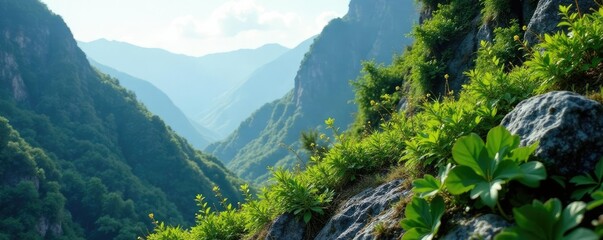 Vertical growth of plants on a rocky mountain slope, tropical, nature