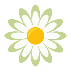 daisy flower PNG isolated on transparent background