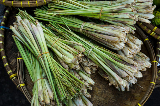  Sereh Segar Baru Dipanen, Rempah Aromatik Kaya Manfaat