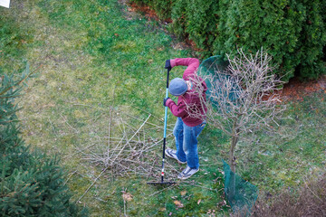 Aerial view of an unknown man carrying out spring gardening work, pruning trees, and tidying up the...