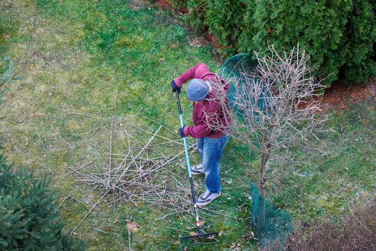 Aerial view of an unknown man carrying out spring gardening work, pruning trees, and tidying up the garden.