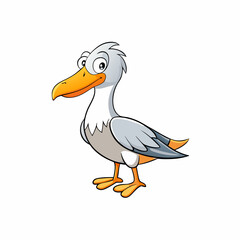 albatross isolated on white background