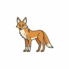 coyote cartoon isolated on white