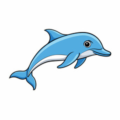 dolphin isolated on white background