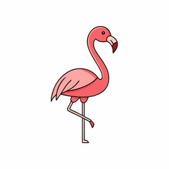illustration of a flamingo