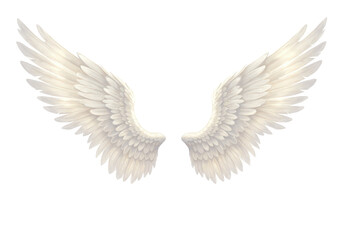Isolated Pair of White Angel Wings