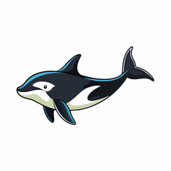 orca vector illustration