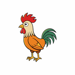 rooster isolated on white background
