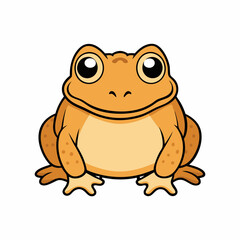 toad vector illustration