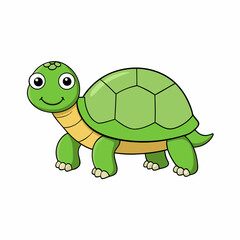 tortoise cartoon vector