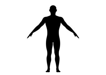 人体モデル 立像 正面 男性