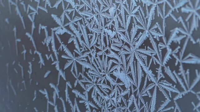 Close-up video of intricate frost patterns on glass, captured from a side angle, showcasing delicate, natural geometric designs in a cool palette. Live desktop wallpaper.