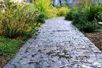 Walkways in parks and wet areas,Morning atmosphere after the rain with a bright atmosphere
