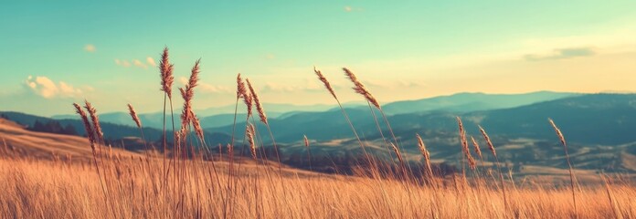 The panoramic background features a golden grunge style with a textured effect, making it ideal for vintage or aged design projects