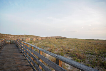 Wooden boardwalk leading through coastal dunes under a soft sky