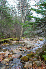 Roaring brook flowing around boulders