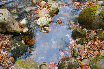 A calm brook flowing through mossy rocks
