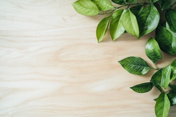 Lush green leaves arranged on light wood background, creating a vibrant, natural frame.