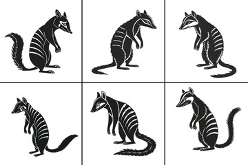 Sad Numbat Silhouette , Vector Design Illustration