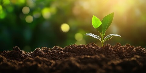 Gardening banner