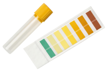 Test tube with pH indicator strips isolated with transparent background