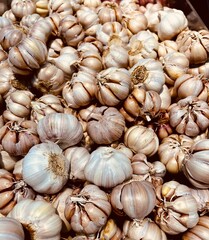 garlic on market