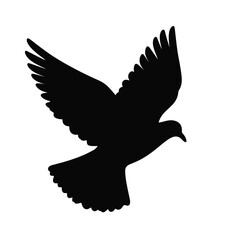 Silhouette of a pigeon in flight against a white background, freedom