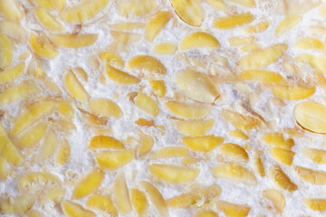 Close-Up of Traditional Fresh Tempeh Fermented Soybeans with Rhizopus Mold Texture - Food Texture Background.