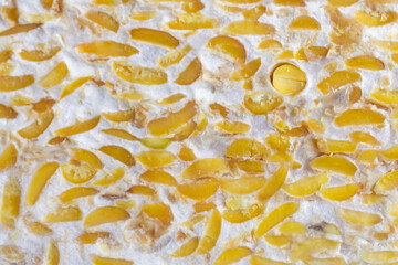Close-Up of Traditional Fresh Tempeh Fermented Soybeans with Rhizopus Mold Texture - Food Texture Background.