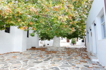 Whitewashed alley with stairs leading upwards in greek islands
