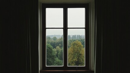 Window view of trees