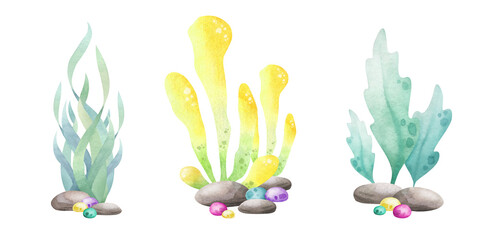 Seaweed, pebbles, stones and algae watercolor isolated illustration set. Hand drawn sea underwater compositions in yellow, green and lilac colors for kids marine and nautical design.
