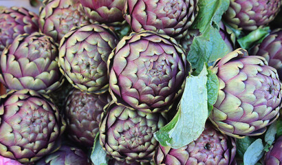 background of very large organic artichokes freshly picked from the field for sale at the market