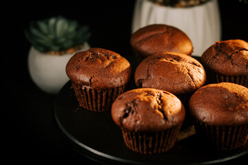 Delicious chocolate muffins arranged on a black serving plate with a succulent in the background