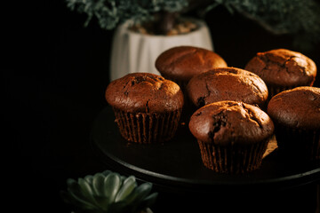 Freshly baked chocolate muffins arranged elegantly on a dark platter with a blurred plant in the background