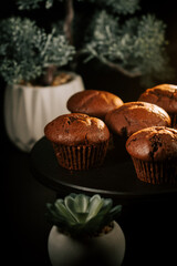 Freshly baked chocolate muffins displayed on a black platter surrounded by green plants