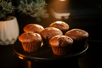 Chocolate muffins arranged on a black plate in warm lighting with a plant in the background during a cozy indoor setup