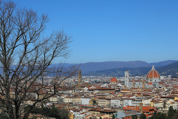 Obraz premium florence breathtaking view palazzo vecchio giottos bell tower and duomo dominate the skyline between a tree